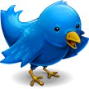 twitter bird