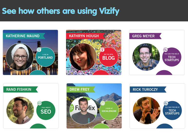 infographic vizify 