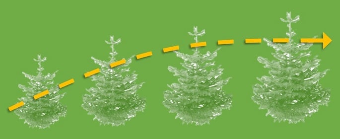 Christmas Analytics