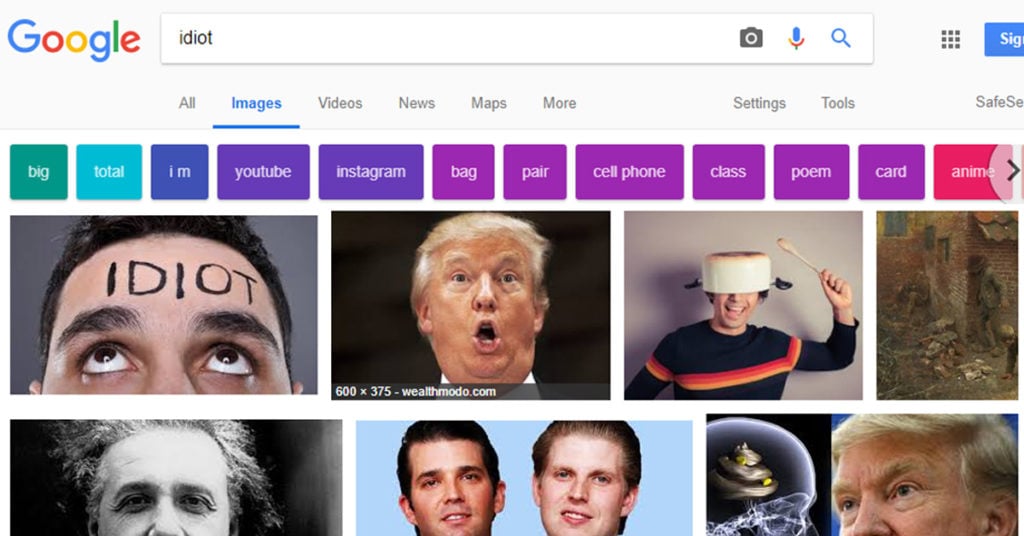 Trump-Idiot